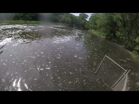 Busse woods il musky jumping
