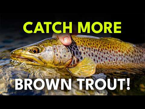 Fly Fishing for Brown Trout: The Ultimate Guide | Ep. 116