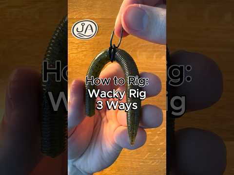 How to rig a wacky rig three ways #fishing #fishingtips #howto #bassfishing #largemouthbass