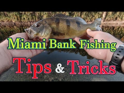 South Florida: Urban Miami Canal Fishing Tips!!