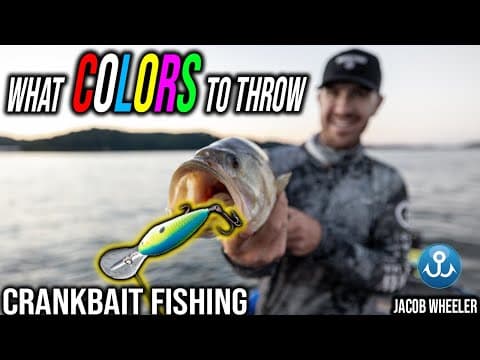 How to Choose which Color Crankbait for Any Situation (Bass Fishing)