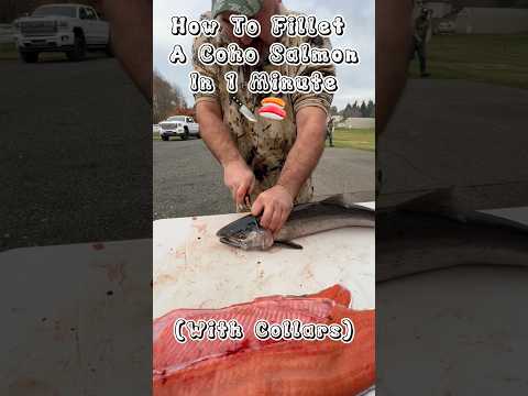 Coho Season Is Just Around The Corner, So Here&#39;s A Quick Tutorial On How to Properly Prepare One! 🍣