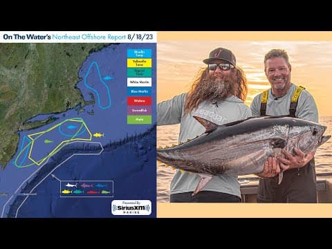 Northeast Offshore Fishing Report | August 18th 2023