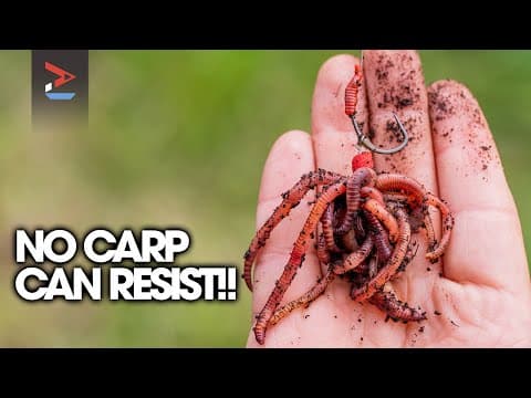 Carp Can&#39;t Resist This! | Ali Hamidi&#39;s WORM Rig | Carp Fishing | One More Cast