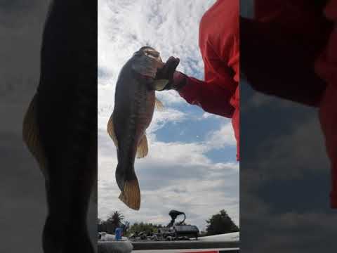 FRANK MITCHUM FISHING ON LAKE BUTLER