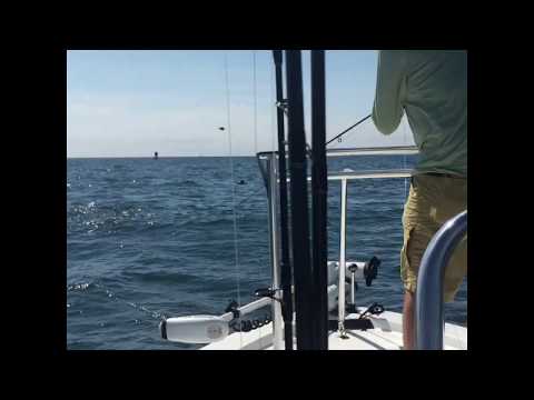 Brenton Reef Newport 9/19. Fly Fishing tight to top water stripers