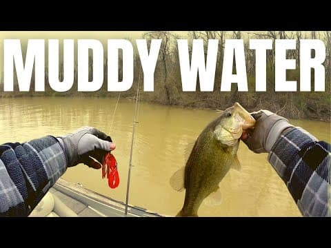 3 MUDDY WATER Bass Fishing Tips You Need To Know