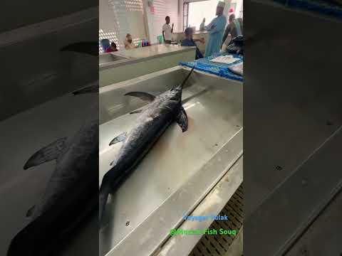 #muscat #muscatvlog #oman #fishing #fishmarket #souq #mutrah