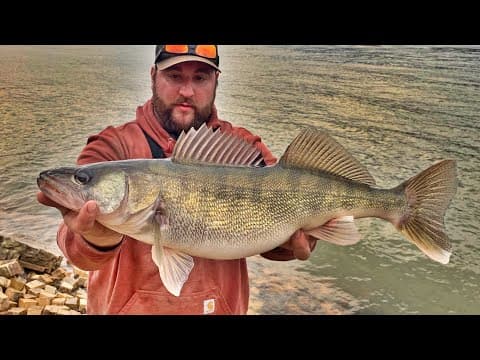 Walleye Fishing below a Giant Ohio River Dam!