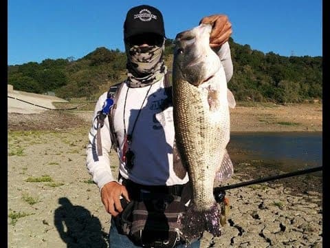 5lb Spawning Bass Release - Cupertino Urban Bass Fishing 4.2014