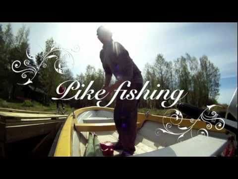 Pike fishing in Nykarleby Finland at the outfall of Lapuan river