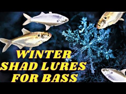 The TOP Bass Lures For After The Ice Melts Or A Shad Kill