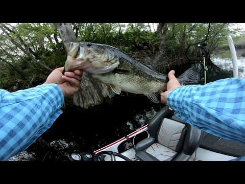 Spring Time Bass Fishing!