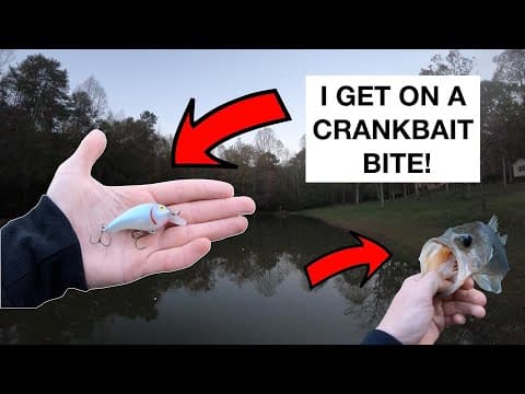 CATCHING FINICKY BASS IN MUDDY PONDS!!!