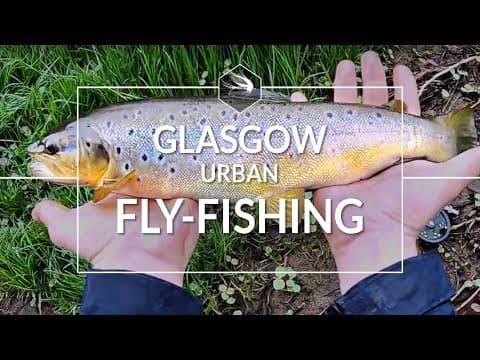 Urban Fly-fishing | White Cart Water Glasgow | Nice Brown Trout