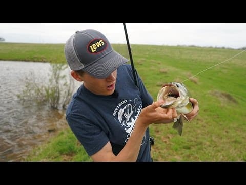 Tips For Pond Squarebill Fishing