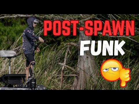 Bass Fishing During the POST-SPAWN FUNK
