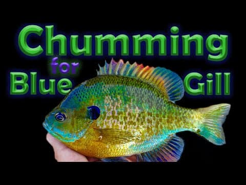 Easiest way to catch BlueGill