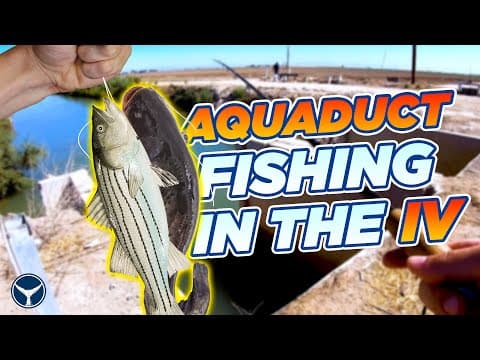Catching Channel Catfish and Stripers in the Imperial Valley