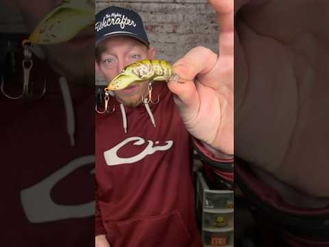 River Rats LISTEN UP #aaanglers #bassfishing #kayakfishing