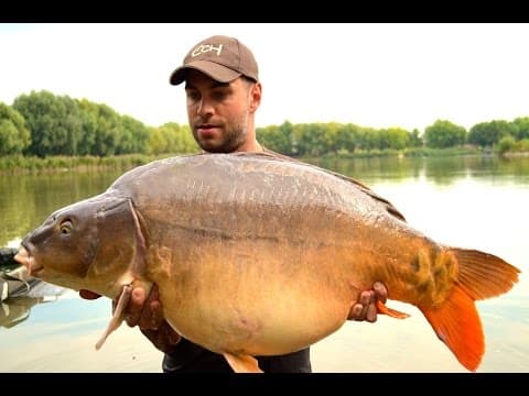 Catch Carp Hungary - Paradise Lake I.