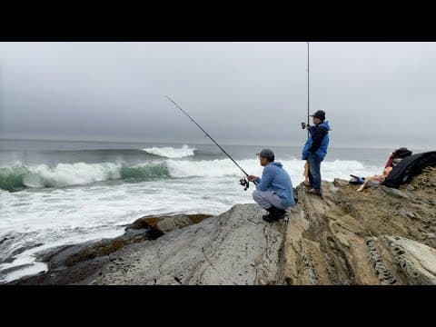 Tautog fishing at Beavertail Lighthouse, Jamestown, RI (10/14, 2024)