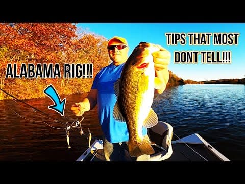 Alabama rig fall bass fishing!!! TIPS THAT MOST DONT TELL!!!