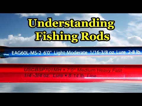 Understanding Fishing Rods and Basics of How to Buy a Fishing Pole