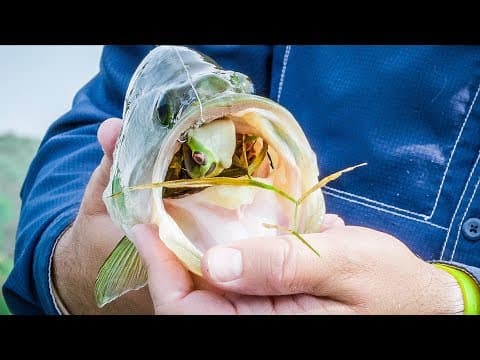 Gear Review | Lunkerhunt Prop Series