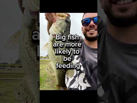 3 Reasons Why You are More Likely to Catch Big Bass on Cloudy Days #fishing #bassfishing
