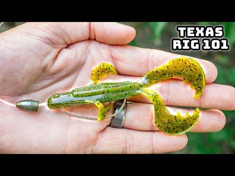 Learn To Fish A Texas Rig In 2025! (Success Guaranteed)
