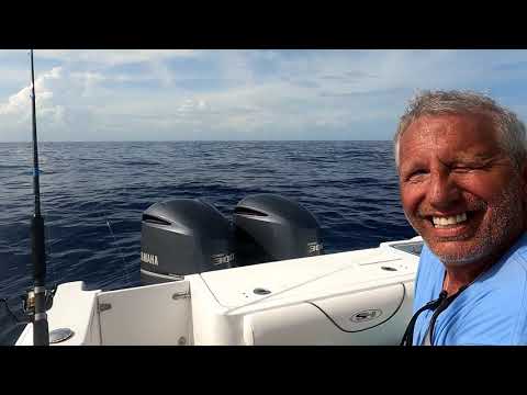 Best Lure for Key Largo Dolphin Mahi Mahi  Best Rod &amp; Reel For Islamorada Tuna &amp; Dolphin Early April