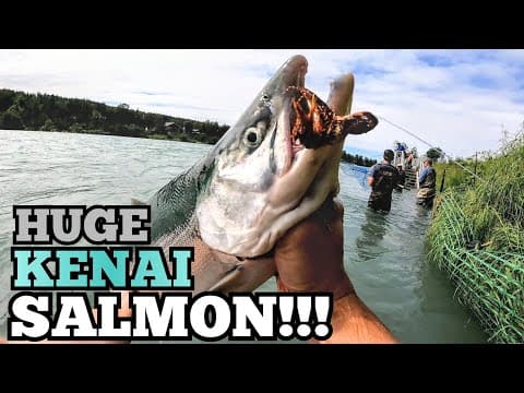 Fly Fishing For SOCKEYE SALMON in the KENAI RIVER! (Alaska!)