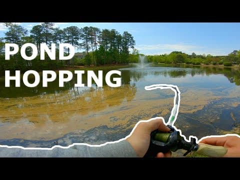 Early Morning Spring Pond Hopping -- POST SPAWN FISHING