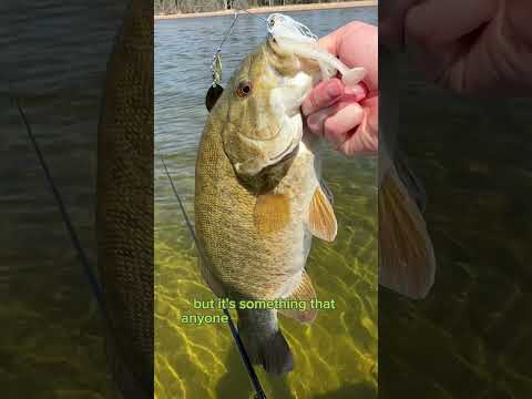 Why You Should Throw This Spinnerbait RIGHT NOW!