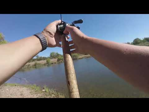 EUC Gone Fishing Series - Lake Natoma - Spotted Bass - Hidden Gem