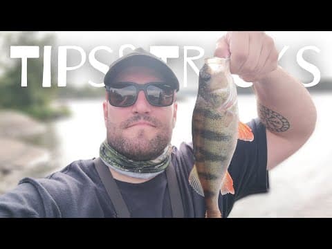 Tips and Tricks for Catching BIG Perch! Fishing in Stockholm, Sweden.