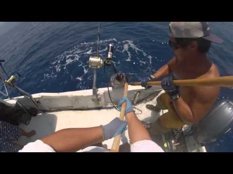 2015 Ep #9- Porpoise Ahi (Yellowfin Tuna) Fishing Kona Hawaii GoPro