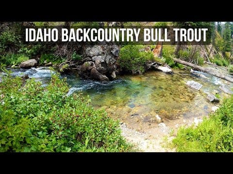 Exploring Idaho&#39;s Backcountry for the BEST BULL TROUT Streams