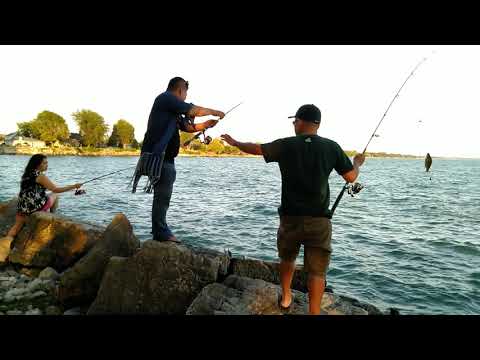 Fishing in Leamington. Aug 9,2020