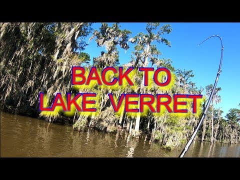 BACK TO LAKE VERRET