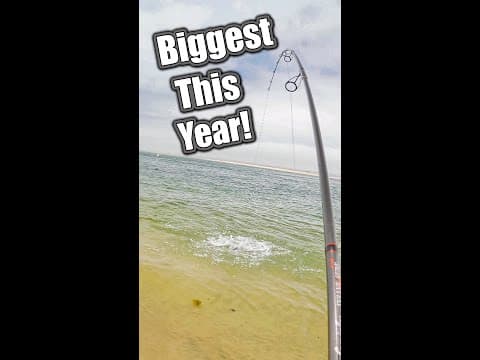 How I Caught My BIGGEST Fish!! fishing saltwater bluefish