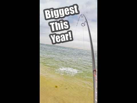 How I Caught My BIGGEST Fish!! fishing saltwater bluefish