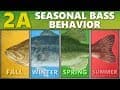 INTERMEDIATE GUIDE to BASS FISHING: 2A - Seasonal Bass Behavior