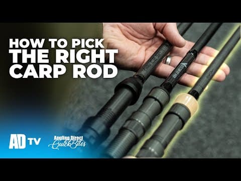 How To Pick The Right Carp Rod For You – Carp Fishing Quickbite