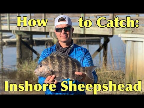 How to Catch Sheepshead + Inshore Grand Slam