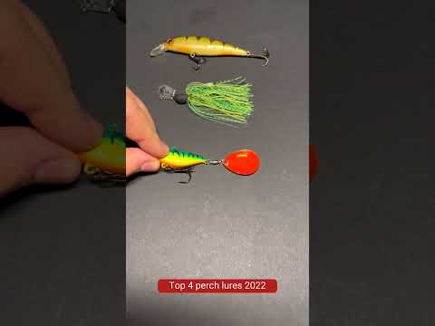 TOP 4 PERCH Lures for OCTOBER '22 🤯 #shorts