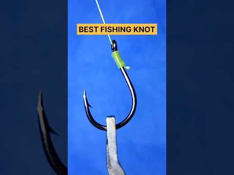 BEST FISHING KNOTS FOR HOOKS