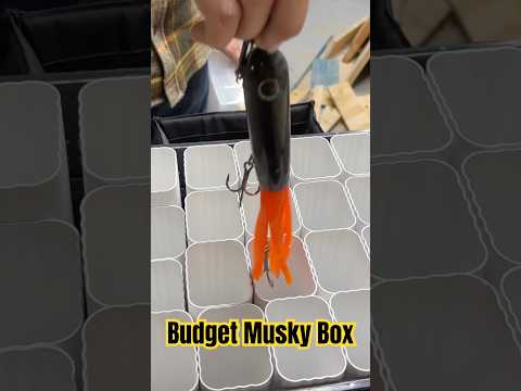Budget Musky Lure Crate #muskyfishing
