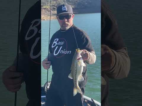 Britt Penrose with a spot caught at lake berryessa today! #bassfishing #spottedbass #keitech
